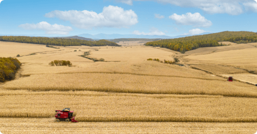 牡丹江10万亩玉米全流程托管