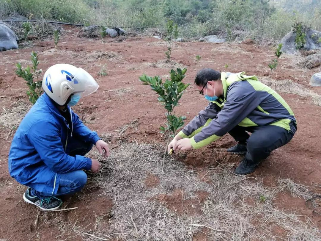 08a643548a3bb4b51cadca78462c9280