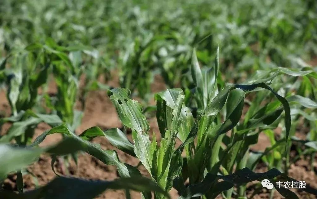 3bec4fadb28193d87c780f3718679643