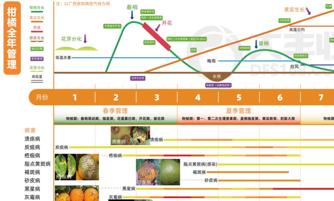 79aab0ee066c439cb5ab7ea7548ad60b