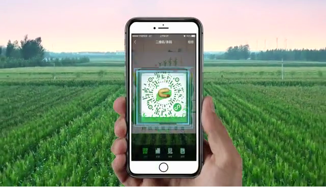 1dc695dc70576c56985521c2406c4bf3