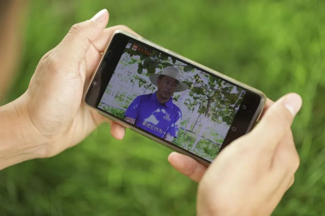 0193a3a4c8f26ac281232640de31bdd7