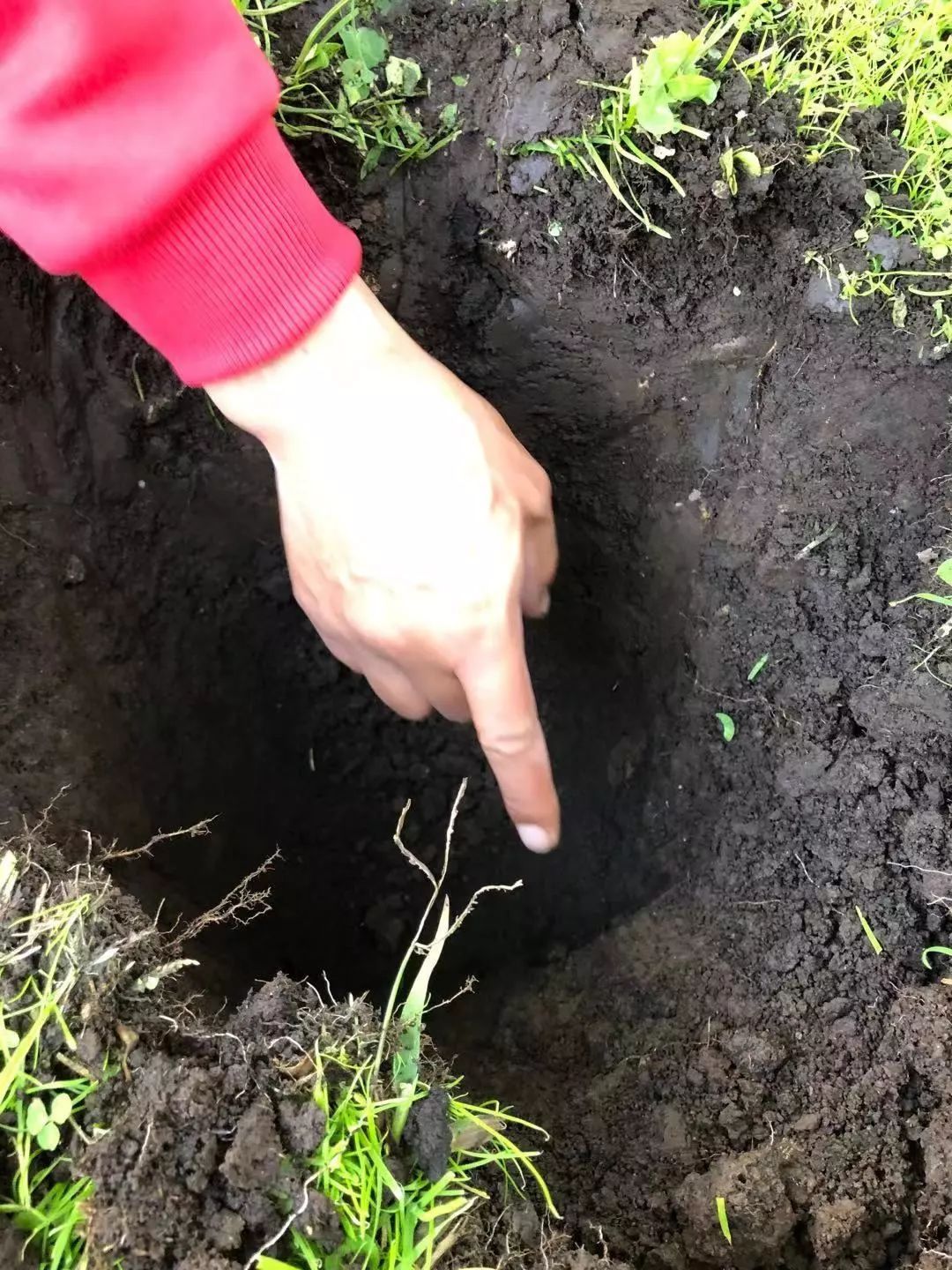 061731f5753464d507fe7b8f2663f2b4