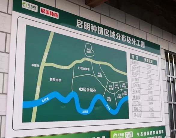 0c337eb52faaa6156b4d1d207085cfef