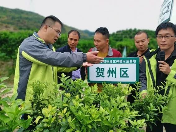 10c2e06016c4ae3780bf4e958f7b6f9d