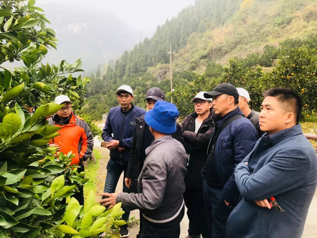 167d1b5d7d6de314a4daaeaa8718535c