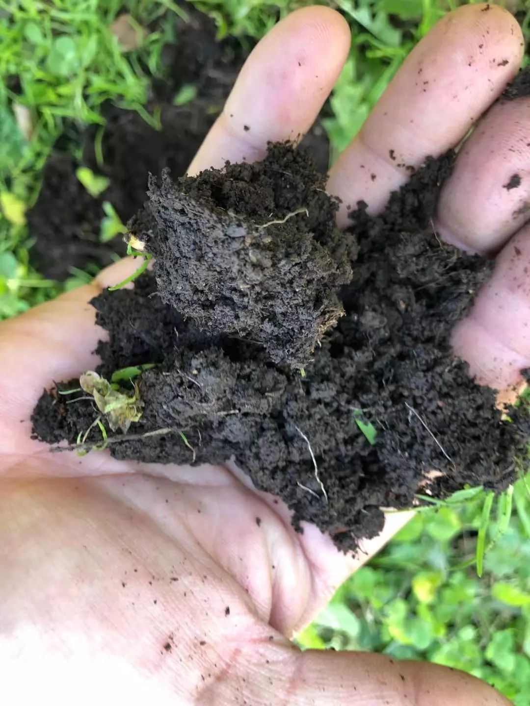 1a6b79018a2b5c246603d7291c695c51