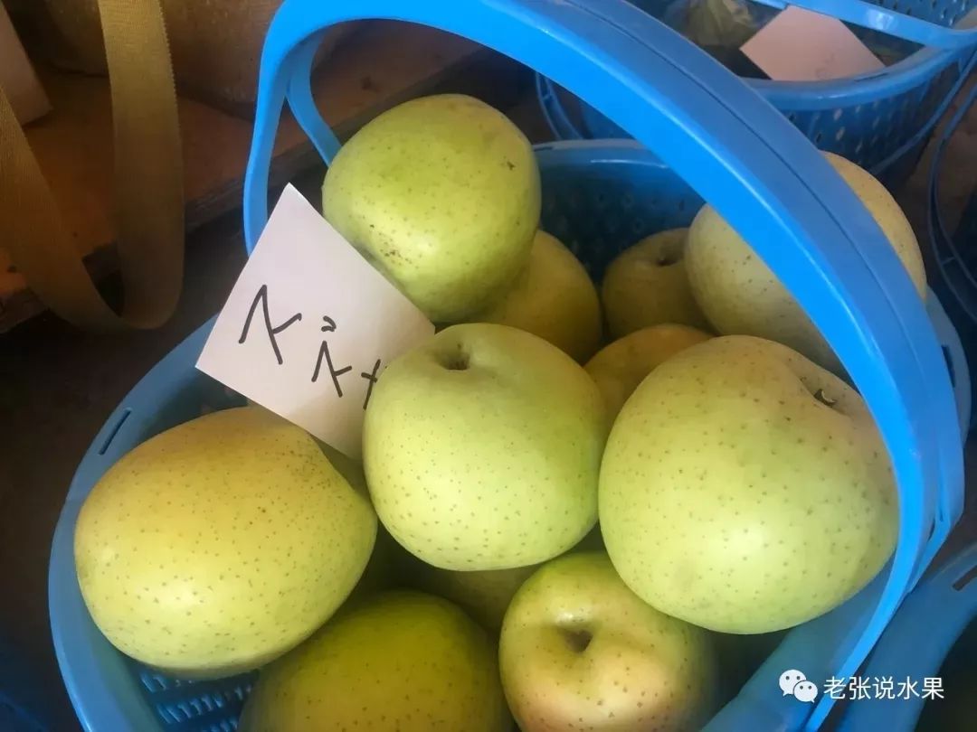 2e1cb53b5876120e1adaa8548eb07867