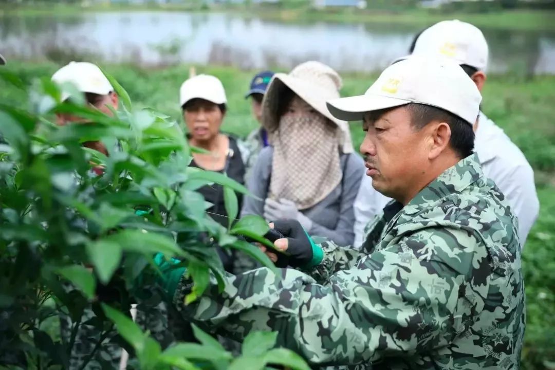 2ef069359e623c821a4db8d11c975ee7