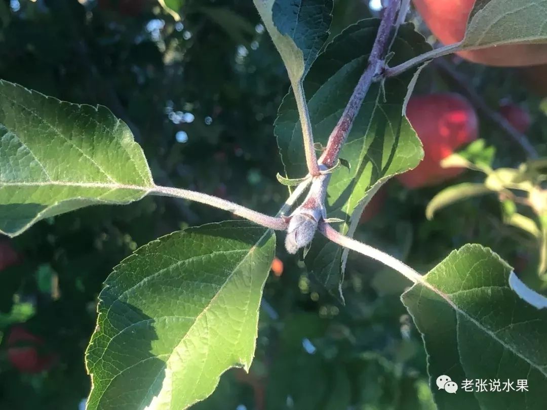 5c236d2521441084665136716416cd8a