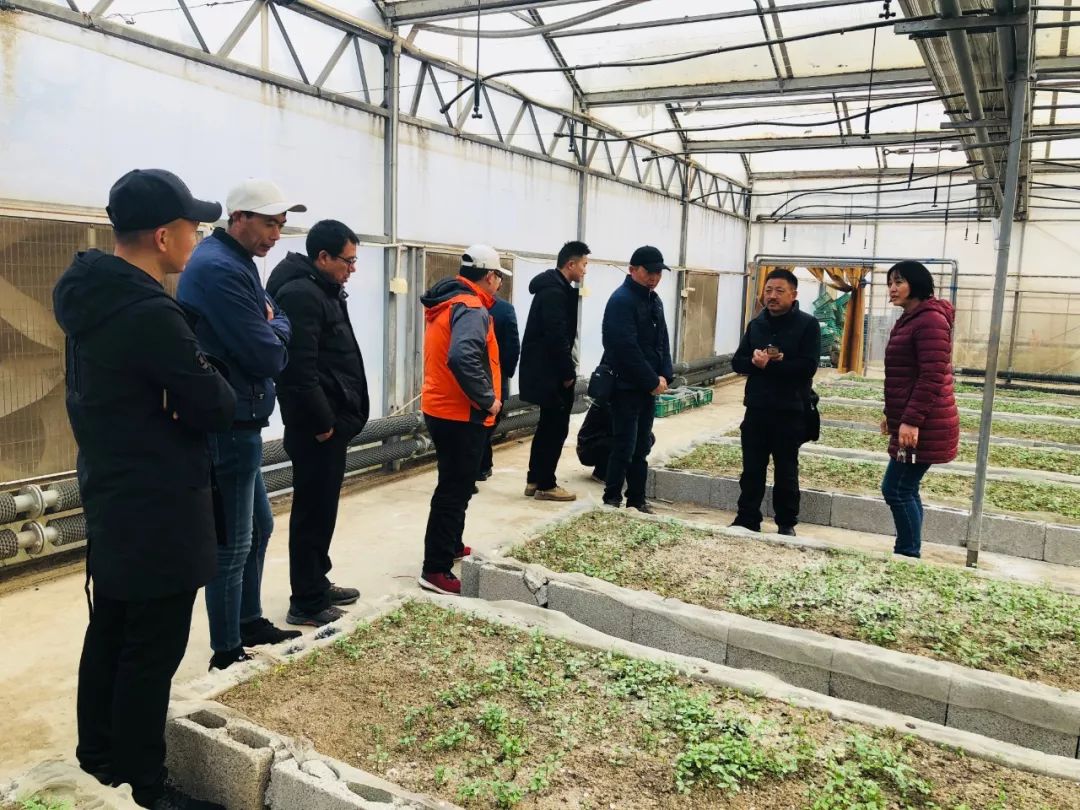 623a662cc4c40d3f3d1933eeb392c860