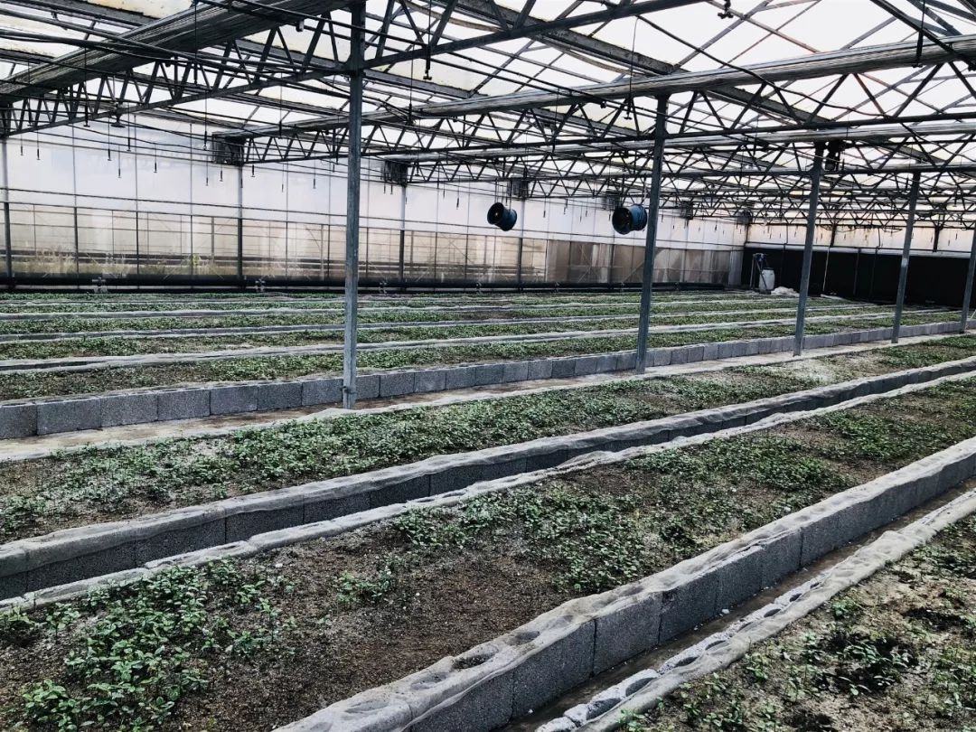 8187640a0d99d37c2a99682af32515fa