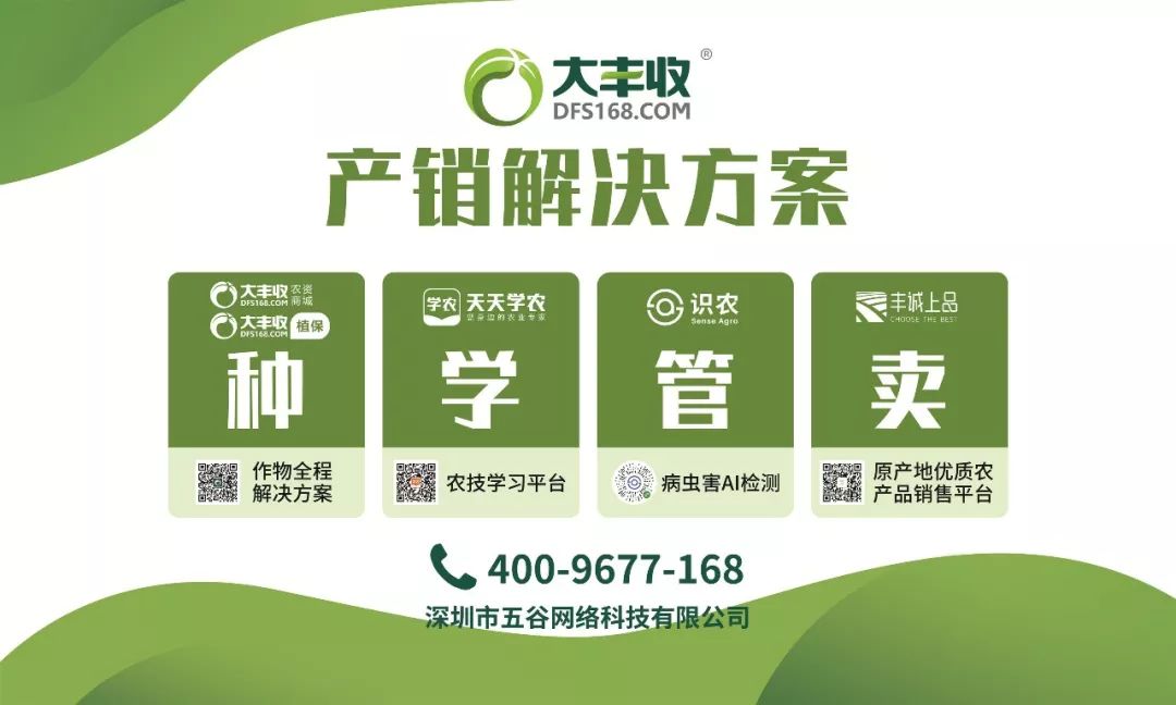 85f91d1eeecd63798b3458255d544b4e