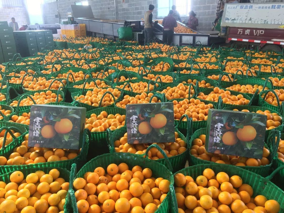 882eecfb098f740f0a889ca60a04286f