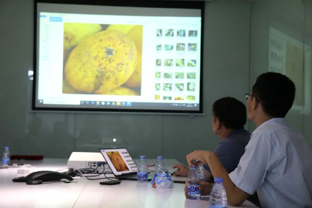 8ac85d33eb6dff90070aa2438ae5a68d