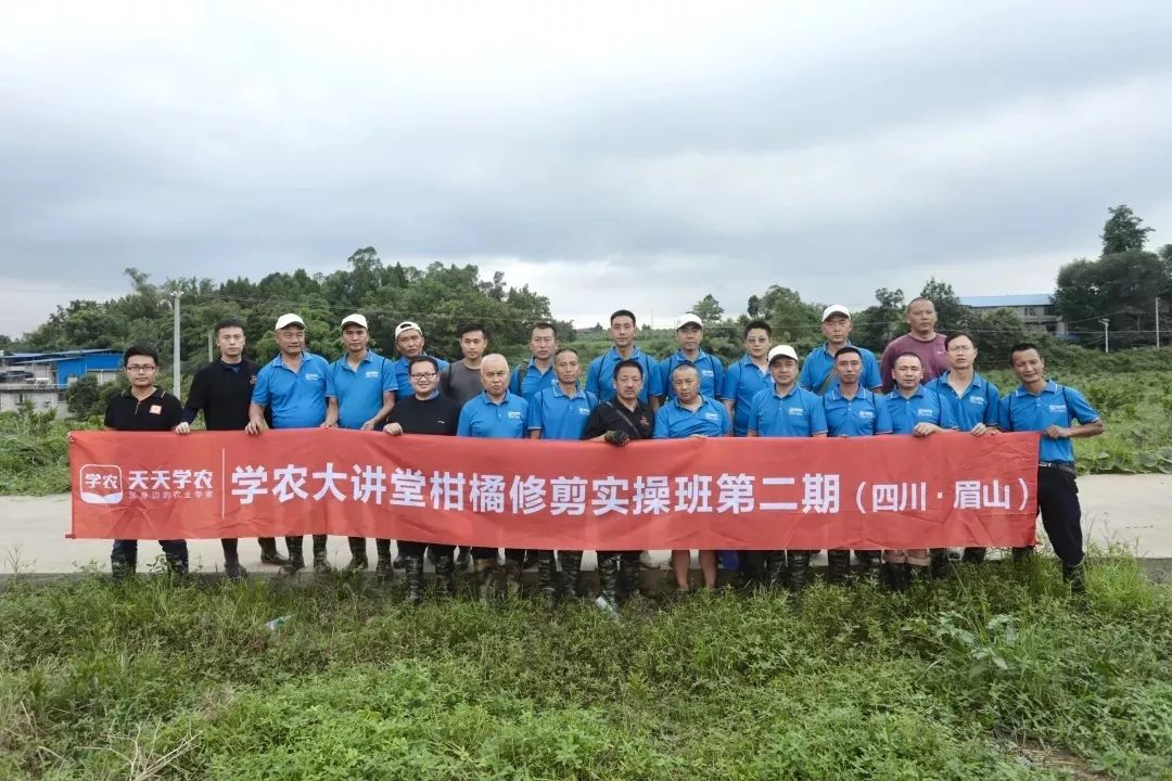 a965a8a6c1774e7ab61c1cf1daf29041