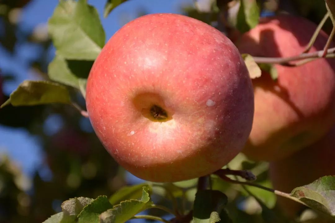 af96765795fa94e152f9975995de29aa