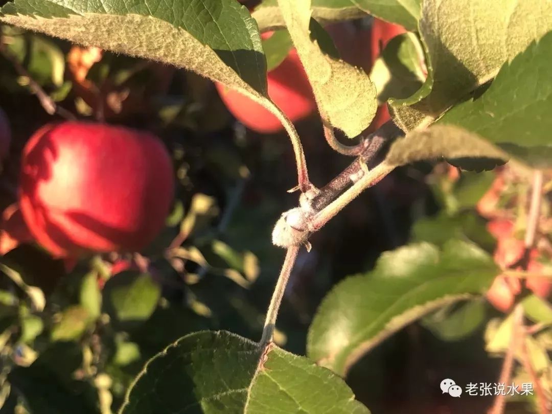 b45a72a71084f3afef7819312bc2dc17