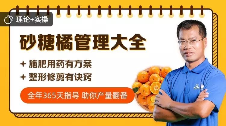 c0aaf5122bdefd37b8798a12931fb7d1