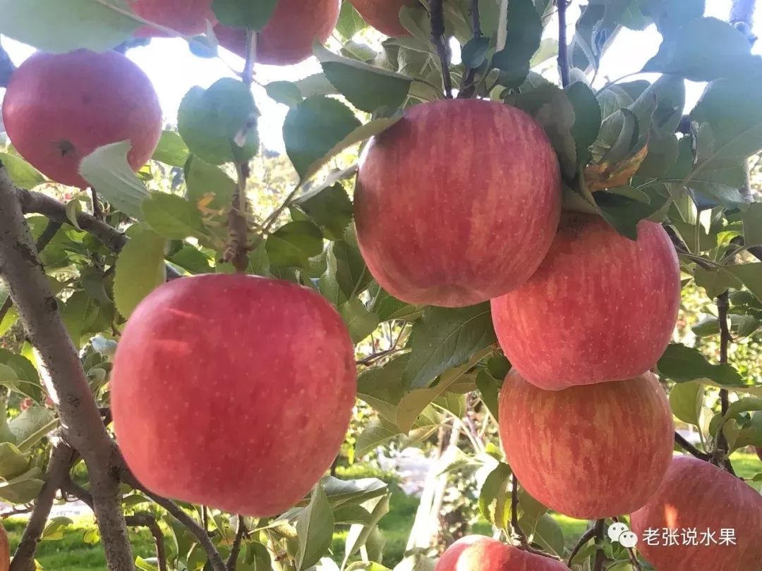 c718cd19a3a29e7c7794c22e44ae3953