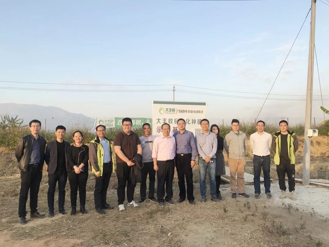 d1550374152c8133327a3e615245fb06