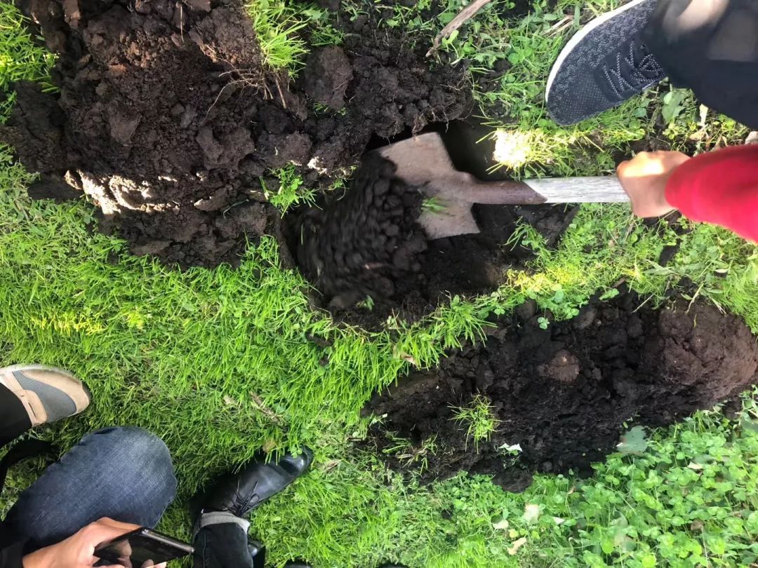 e90b8fc1afb051f2db5640c8c1bd5008