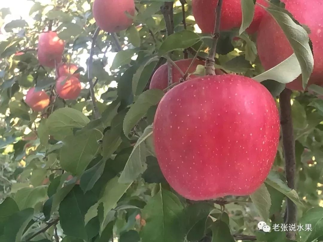 ebc6e250dc4af96216e5d7c8a6b5356e