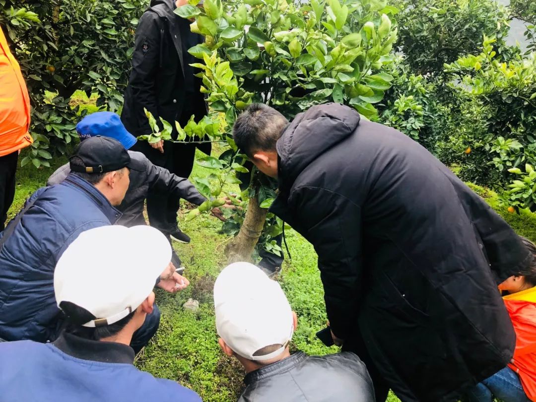 ec0905b47ac47c656321a88e098ec890