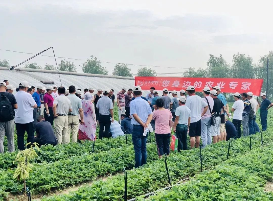 fa3362de4a91c92d8b1318f996ba8610