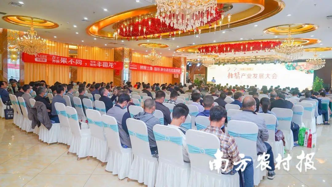 ff59f3c7c7c6cb5a99d5e2886c4f8213