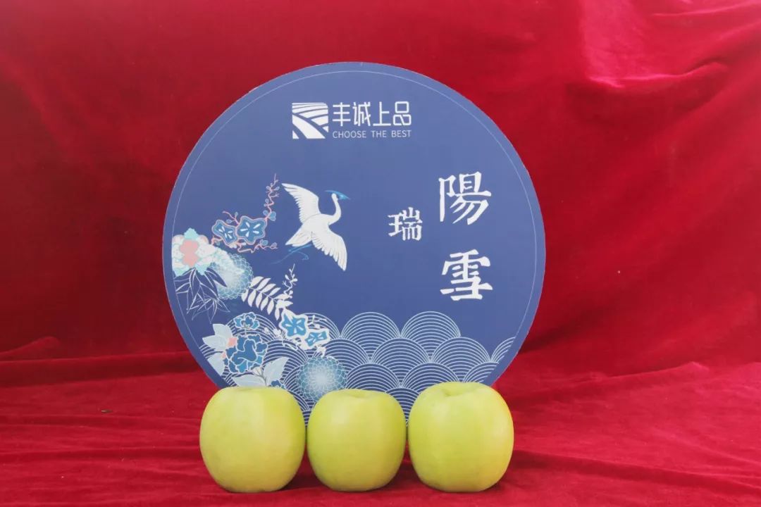 232964c01406b28494d572a31c9af839