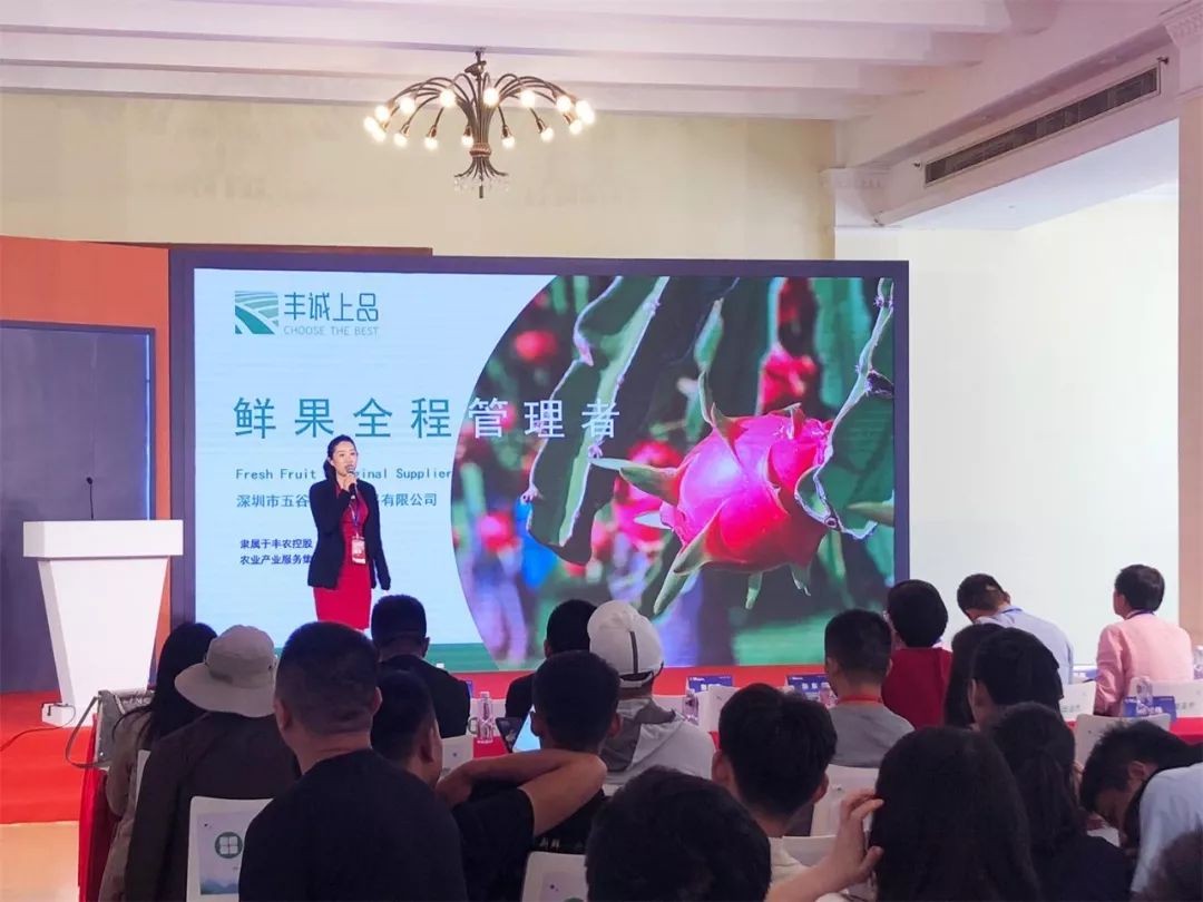 c33ce1ac8783244a1d1d8e6312b0b3a2