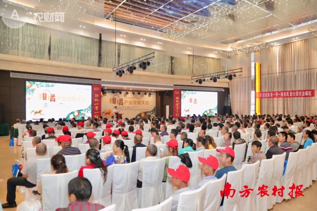 cd0353f59a37eee8084196980f636a31