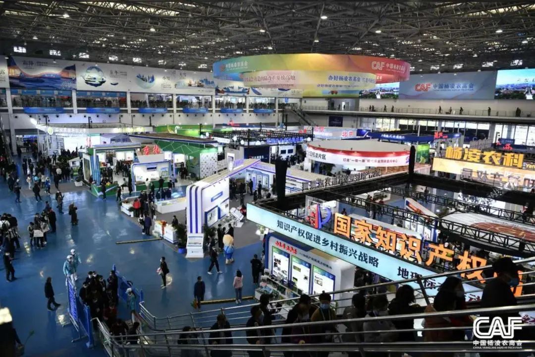 afa3b6901b5e18f260e956d7032d8b8c