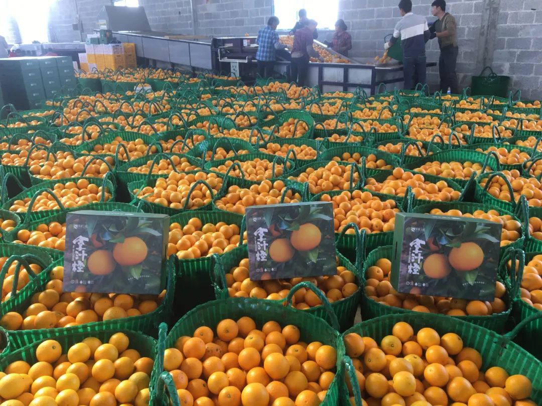 0a10ada759fbf1ff95187fec7bea5e49