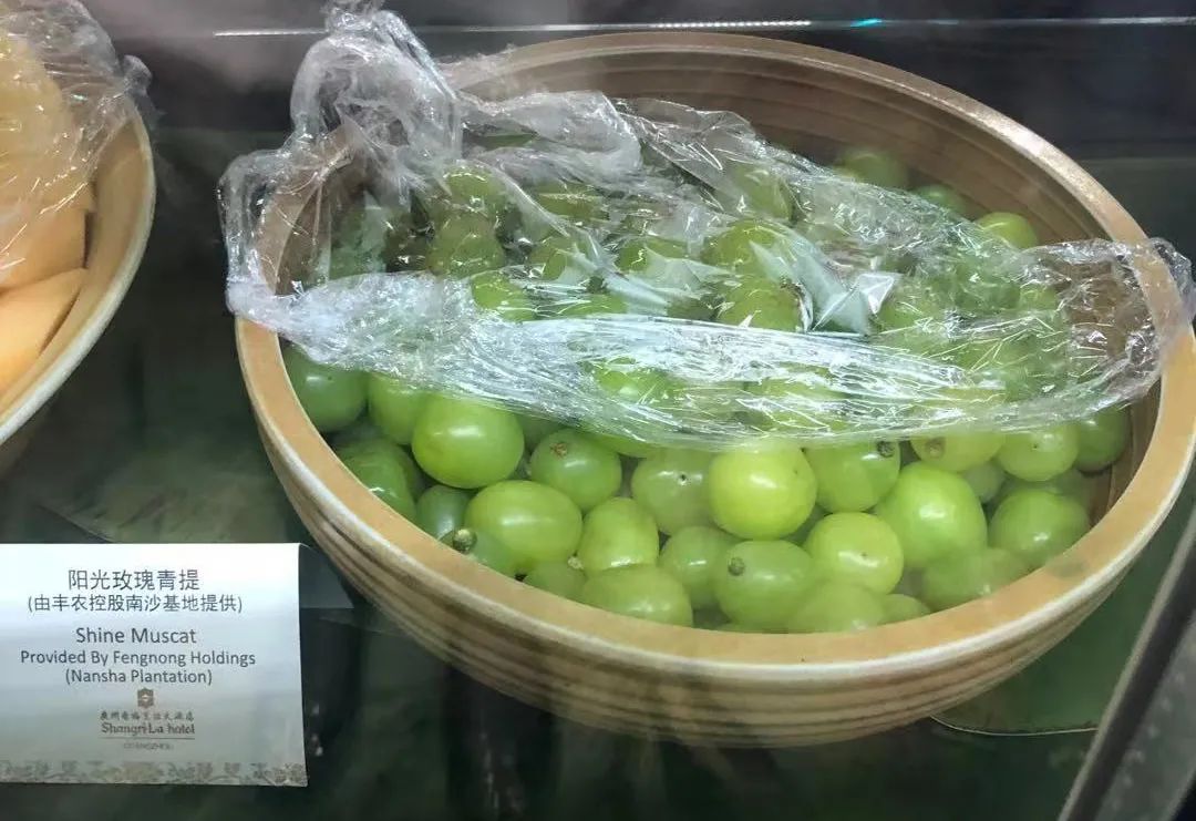 0c0b11c00aeedd33d6daa0efc9a4ef07