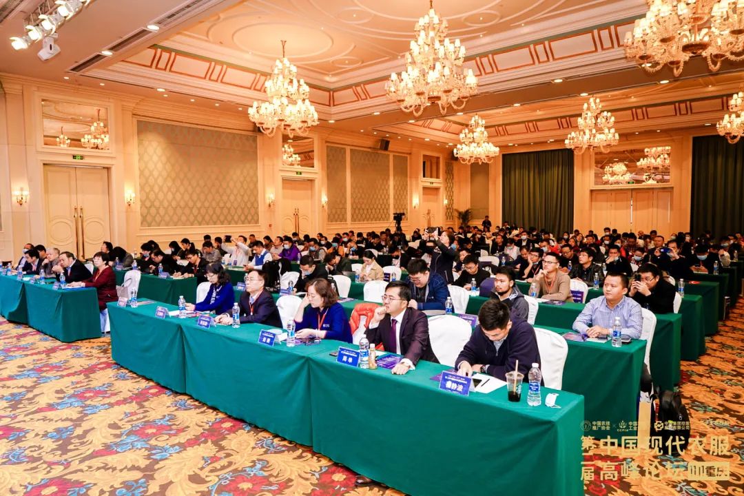 19e06316db1378db58d3e23547625558