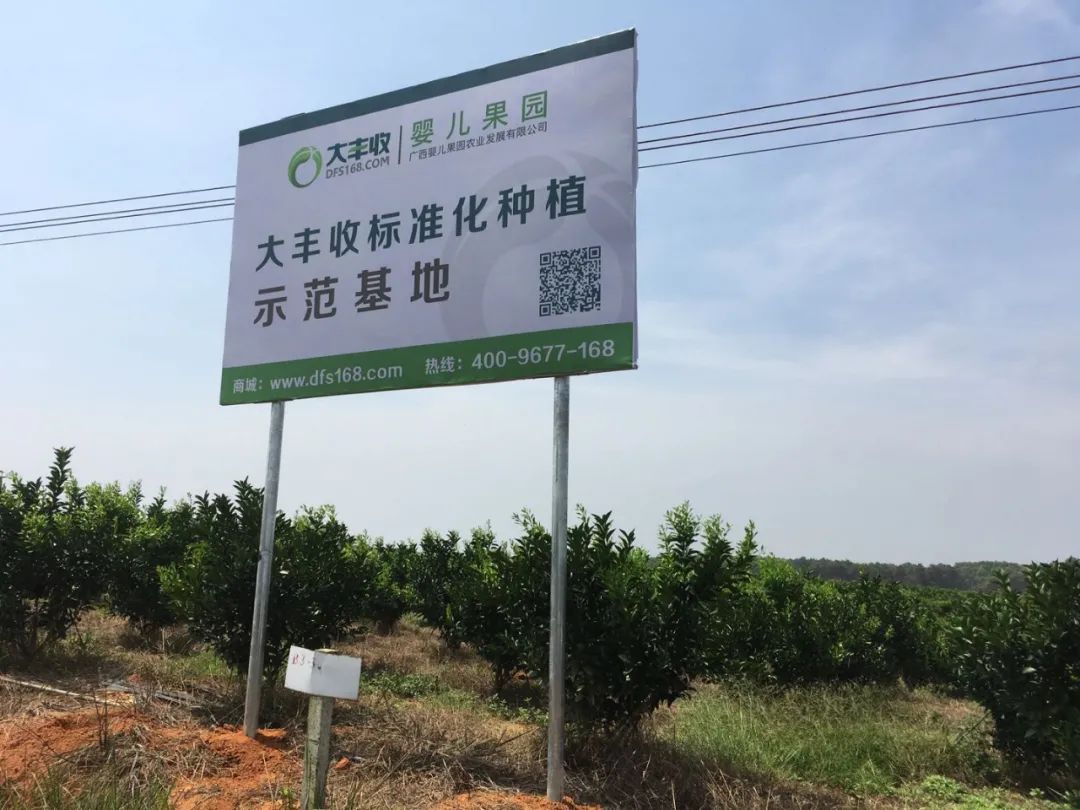 3589819291eb5b9ef75bfe08cf2f0650