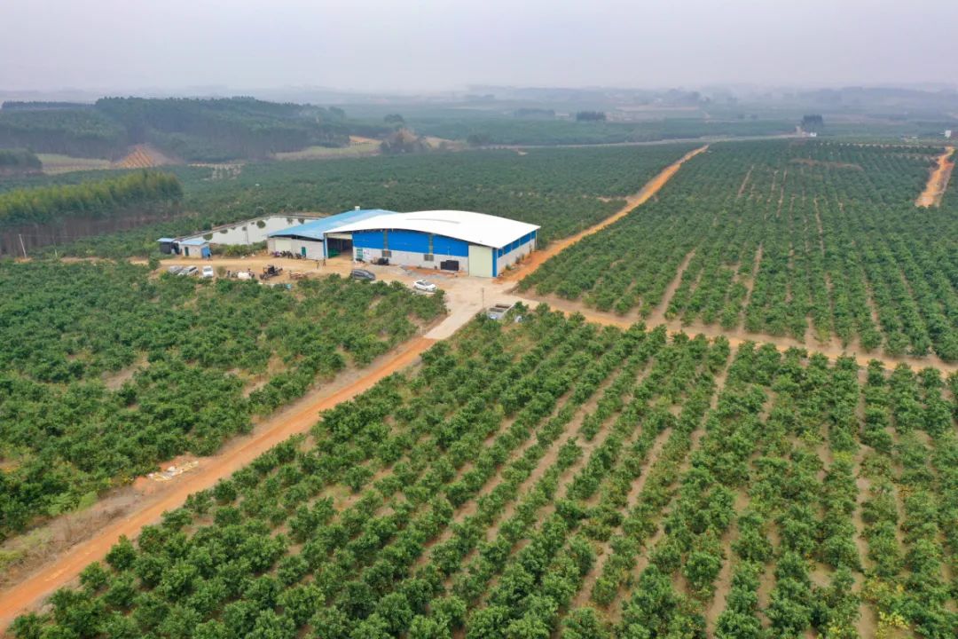 6f6b505c7916dd34a870a3c39ca85db7