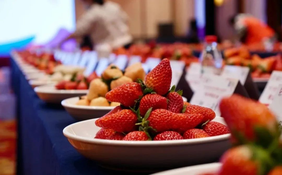 c0b26a9b8c2c60675a1fd585ab7cf8df