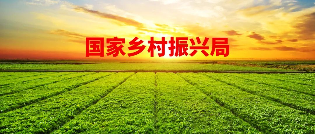 69278f95b4fa9f89f4a8e115bc778ed7