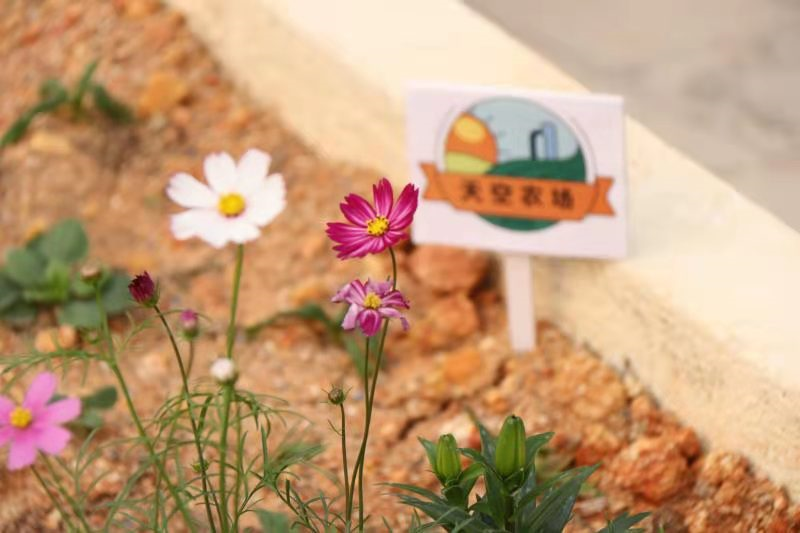 6404027d1b856690d3a4f48e5cfebb32