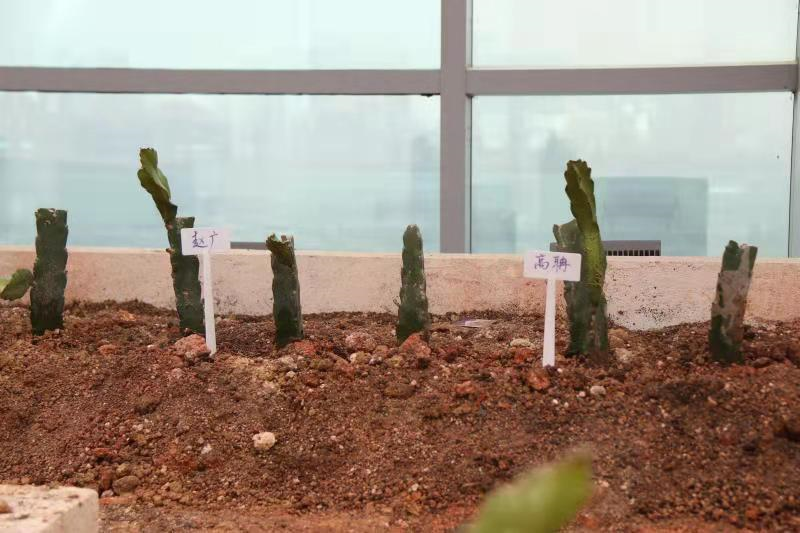 af5e65a980cd104558fcf49baa486ae8