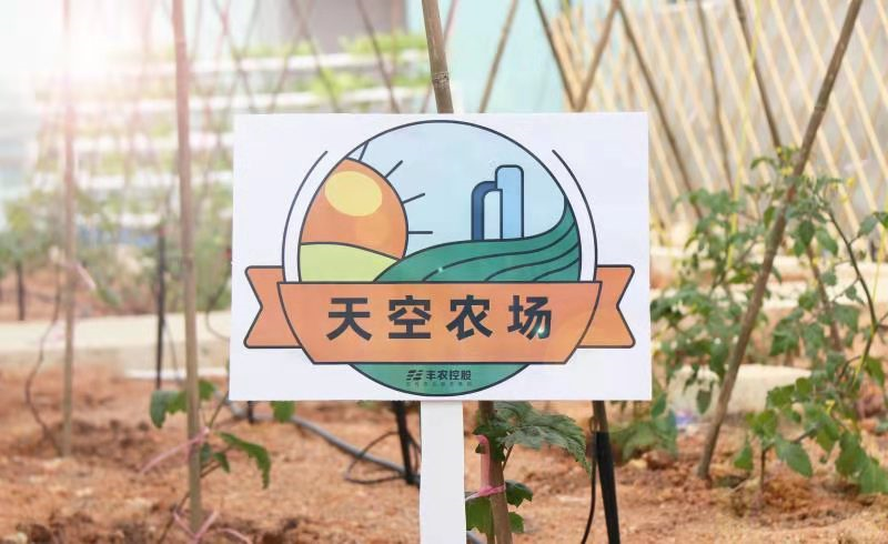 e9d86f2f6918ee184a9ea1d8940dfd0e