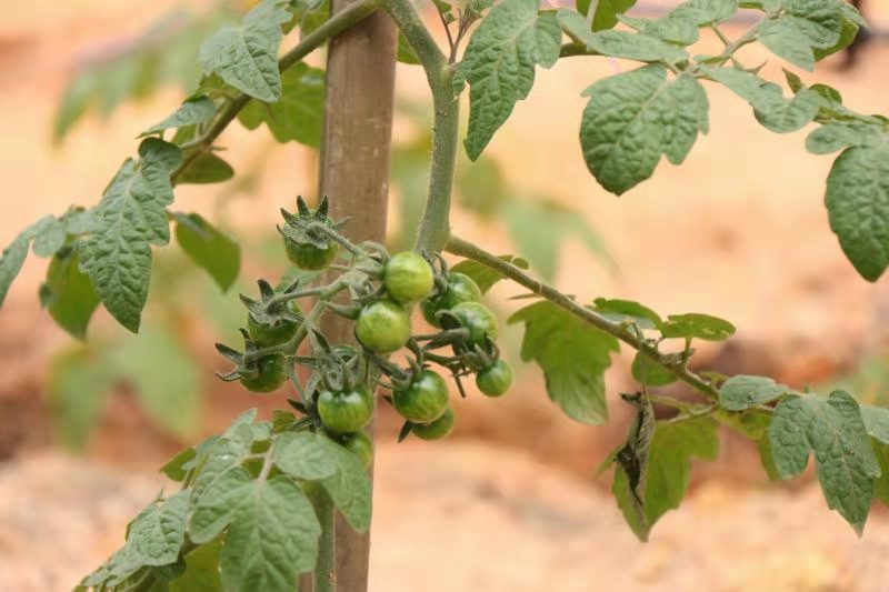 f2abd9834c298f2e110d62a01e21d548