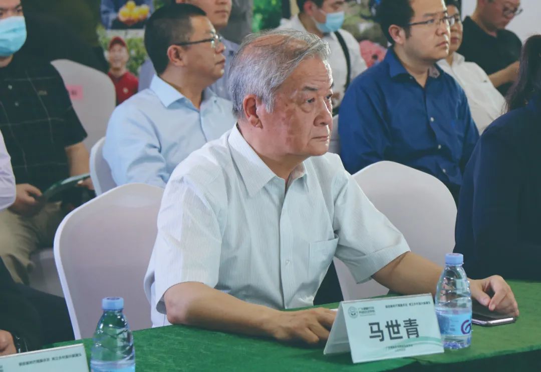 fc913c978697b04f7482be1846399d10