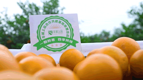 220ea366758f78efd054ebe5cf3ed9dc