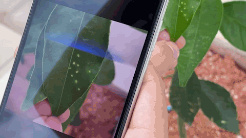 7f76d35b729f7ef5e74ad198a99a9731