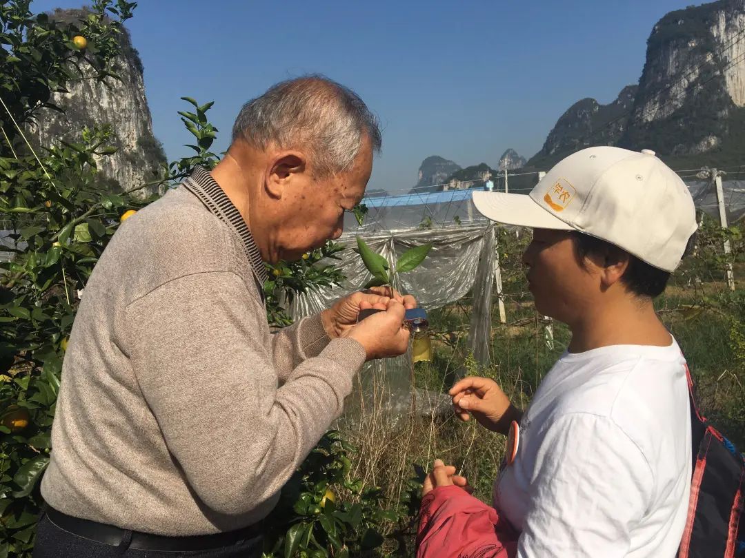 690dff28641e8e6a7b5ffc93e7e11208