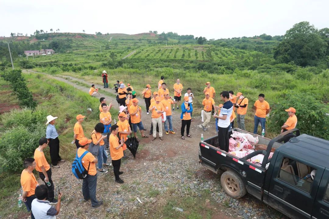 711f42e99ba74e287c50a076fba1a93b